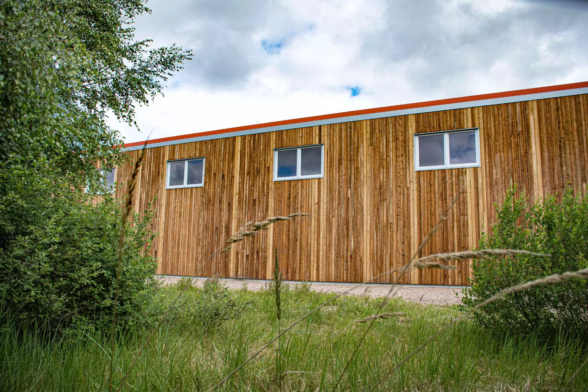 Trähus med tre vita fönster omgivna av grön gräs och buskar under en molnig himmel.