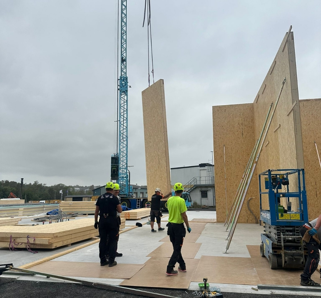 Byggnadsarbetare med hjälmar hanterar stora träpaneler vid byggplats medan en kran lyfter en väggpanel.