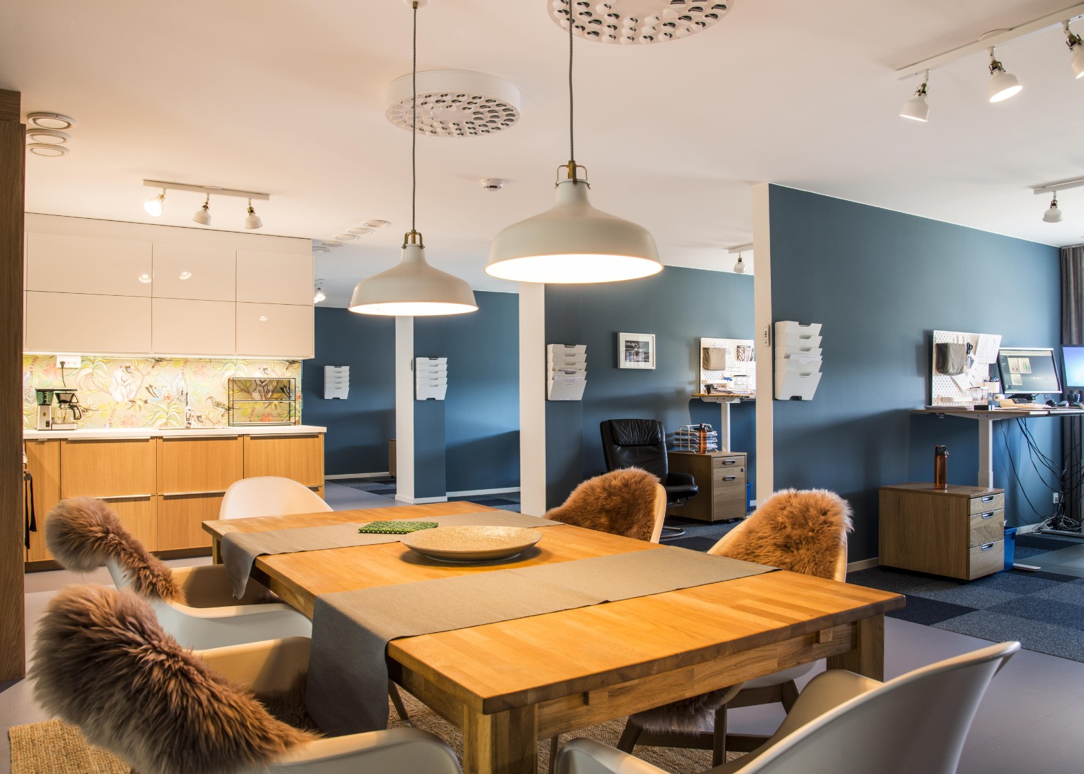 Modernt kontor med träbord, vita stolar täckta med bruna fårskinn och arbetsstationer mot blå väggar.