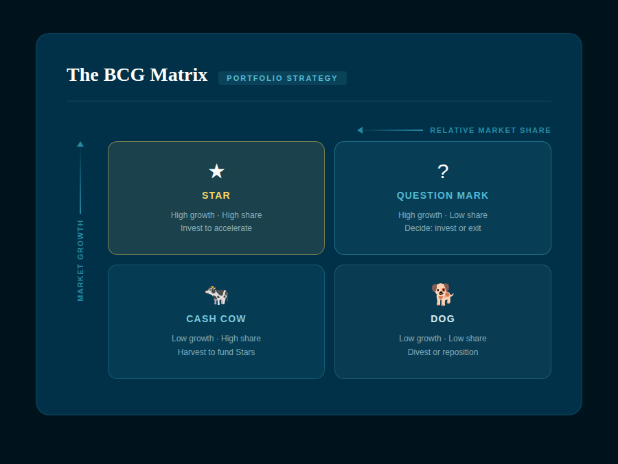 BCG matrix explanation