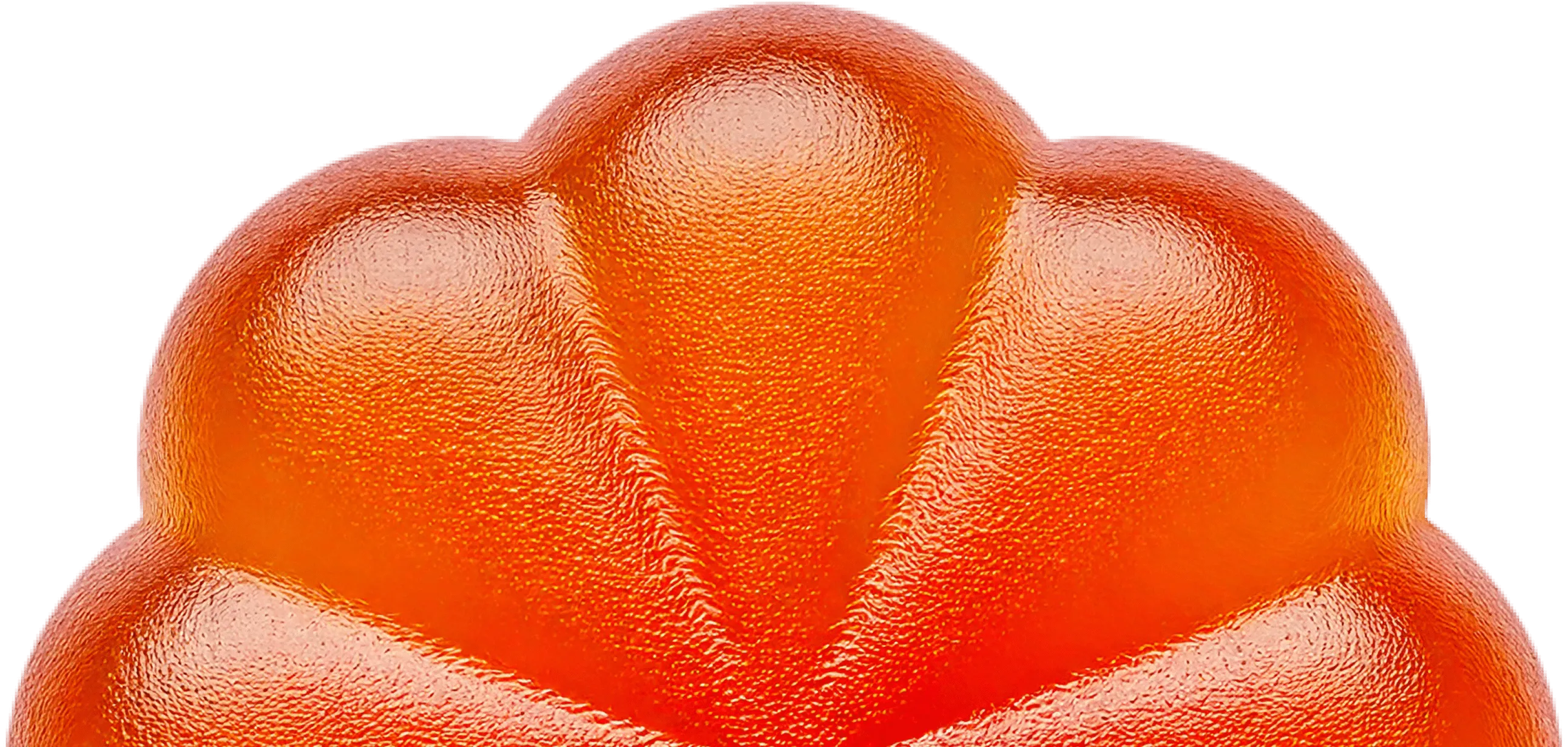 A close up of an orange on a white background.