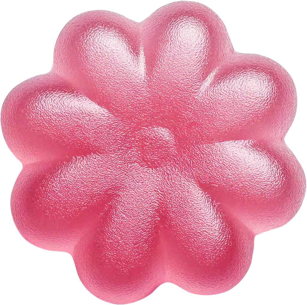 A pink flower on a black background.