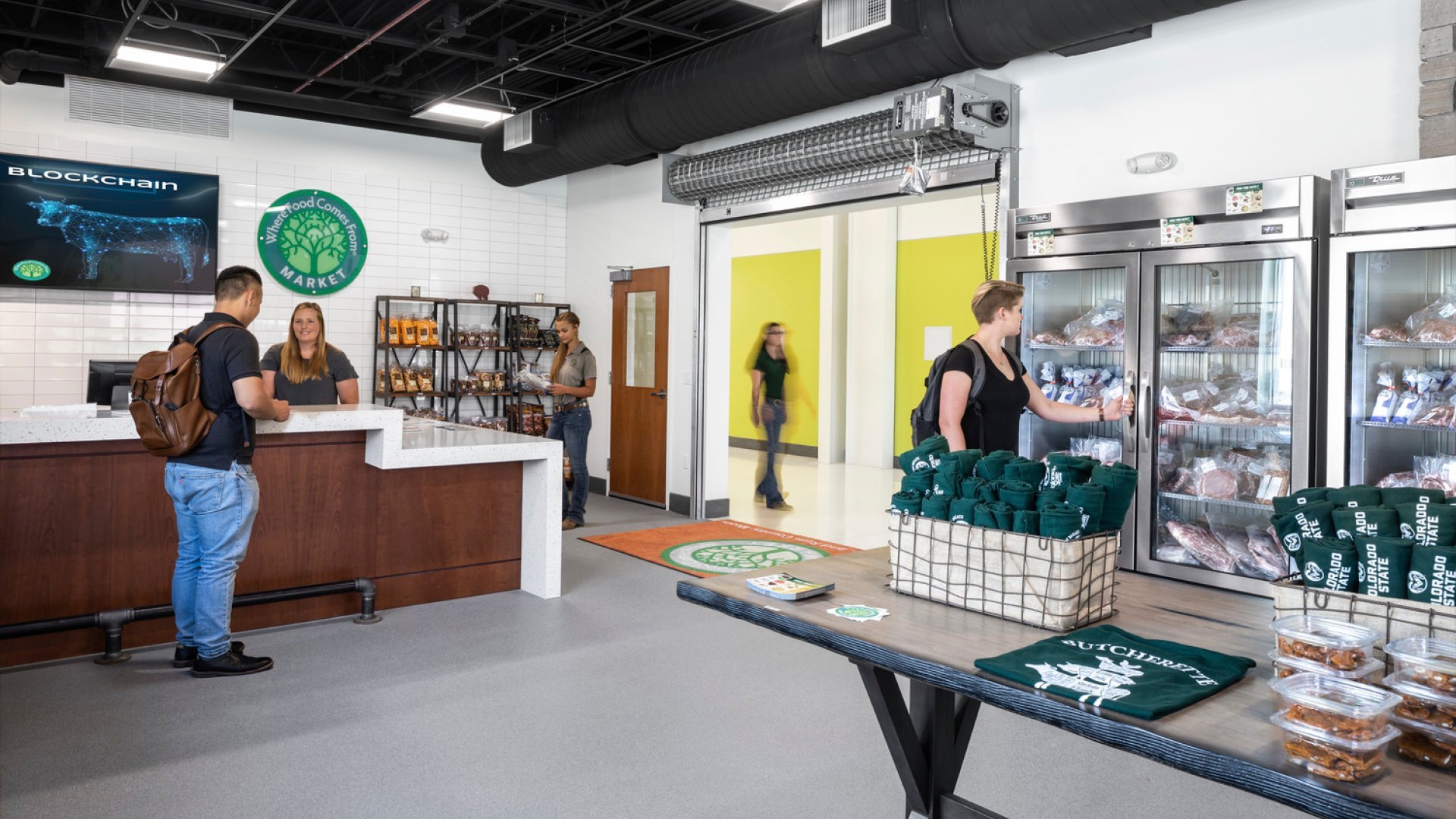 Colorado State University