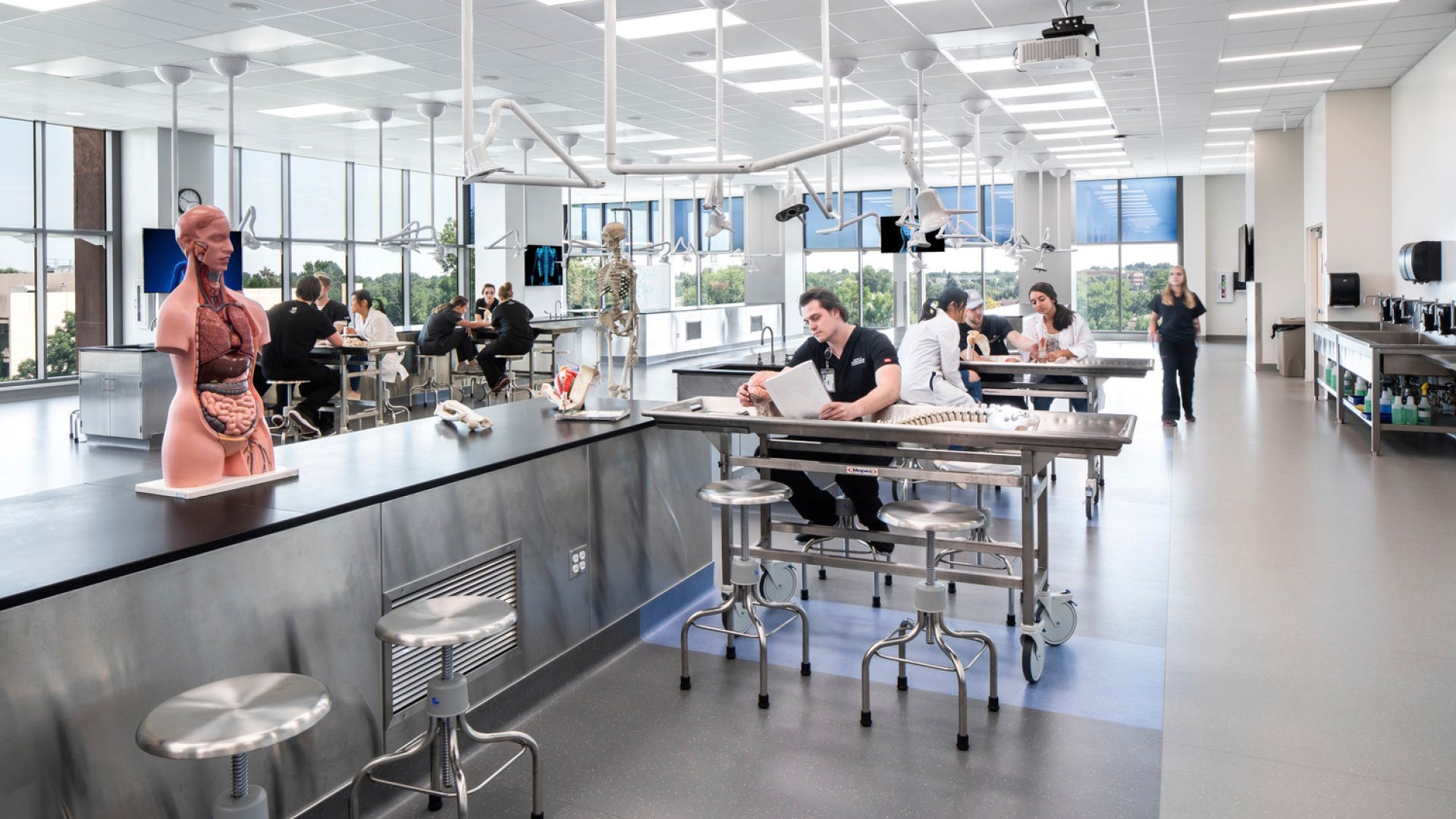 Modern medical anatomy lab with students studying, anatomical models, and skeleton