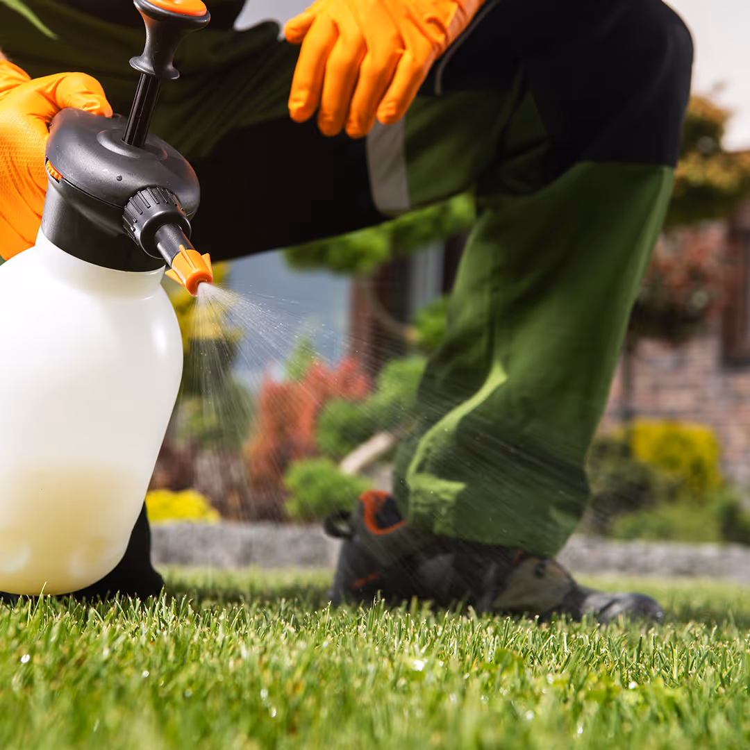 weed control service for healthy lawns by Eden Landscaping LLC Charlotte