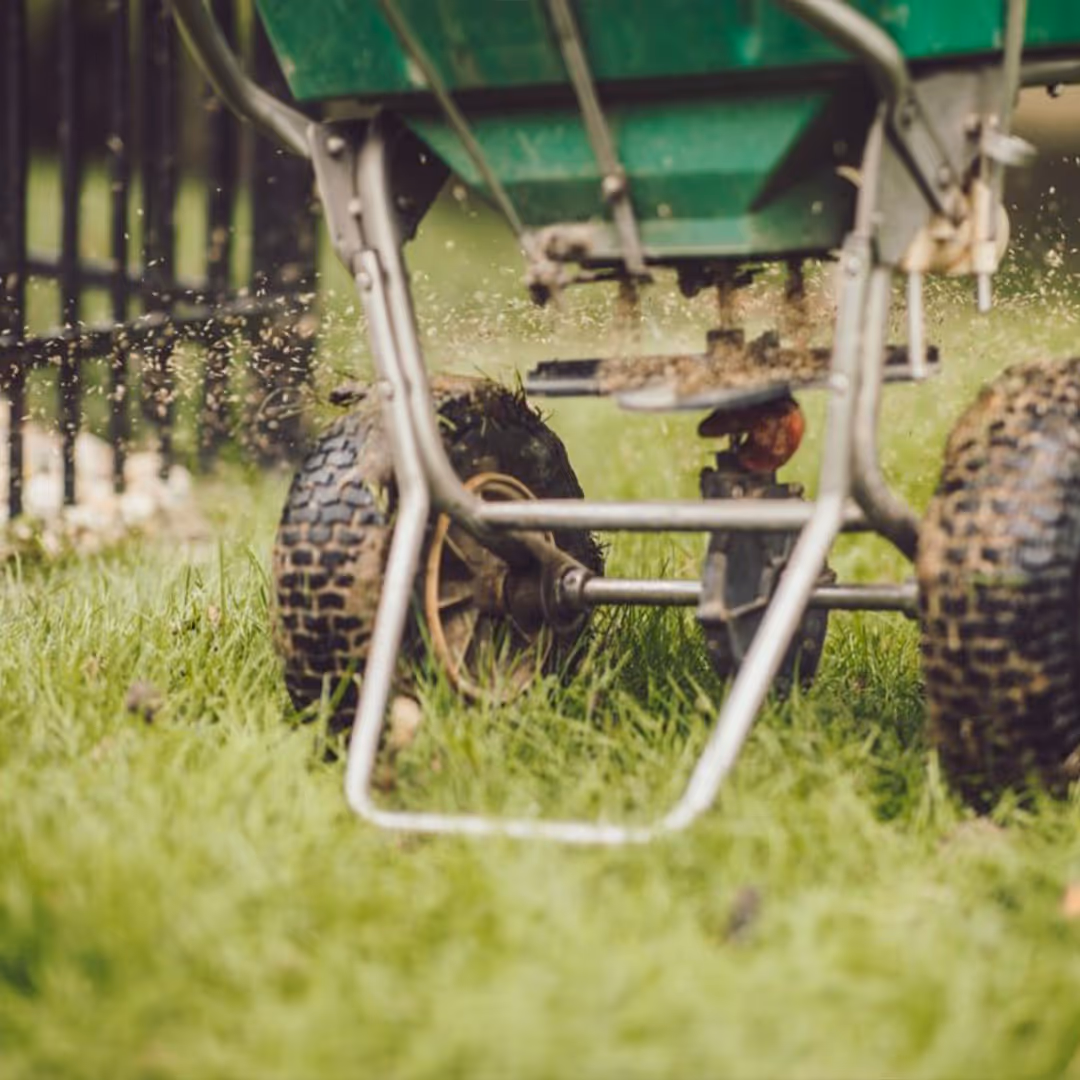 seeding overseeding lawn service by Eden Landscaping LLC