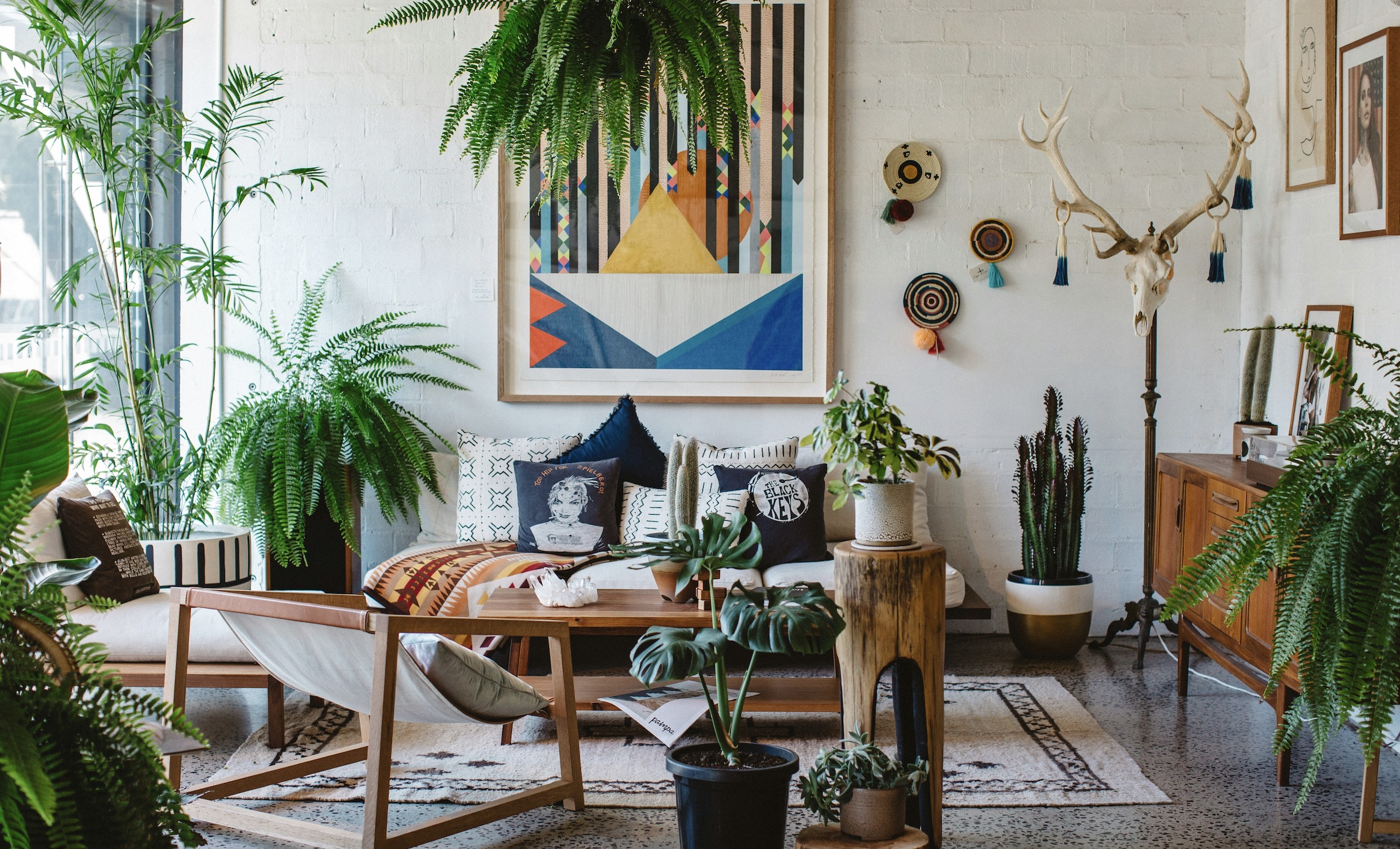 10 plantes d’intérieur faciles à entretenir