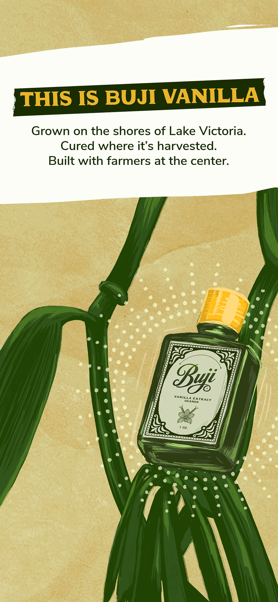 Intro Image 1 Portrait