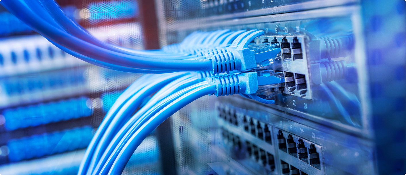 Netzwerkkabel angeschlossen an einem Switch