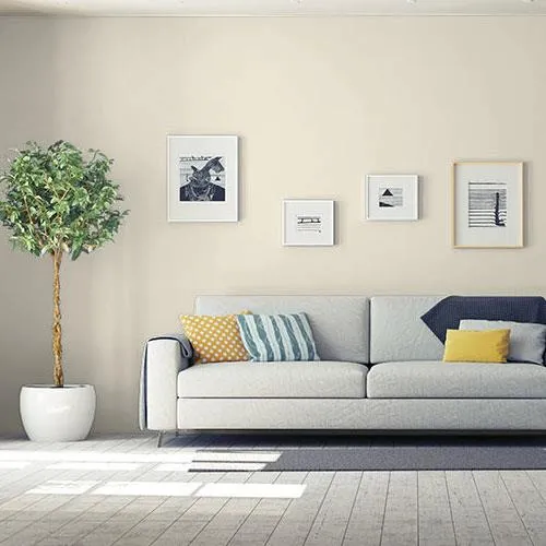 Popular Color PPG Antique White as sold by Zoerner Paints Plus in Covington, LA. Also delivering to Mandeville, Madisonville, Abita Springs, Hammond, and surrounding areas.