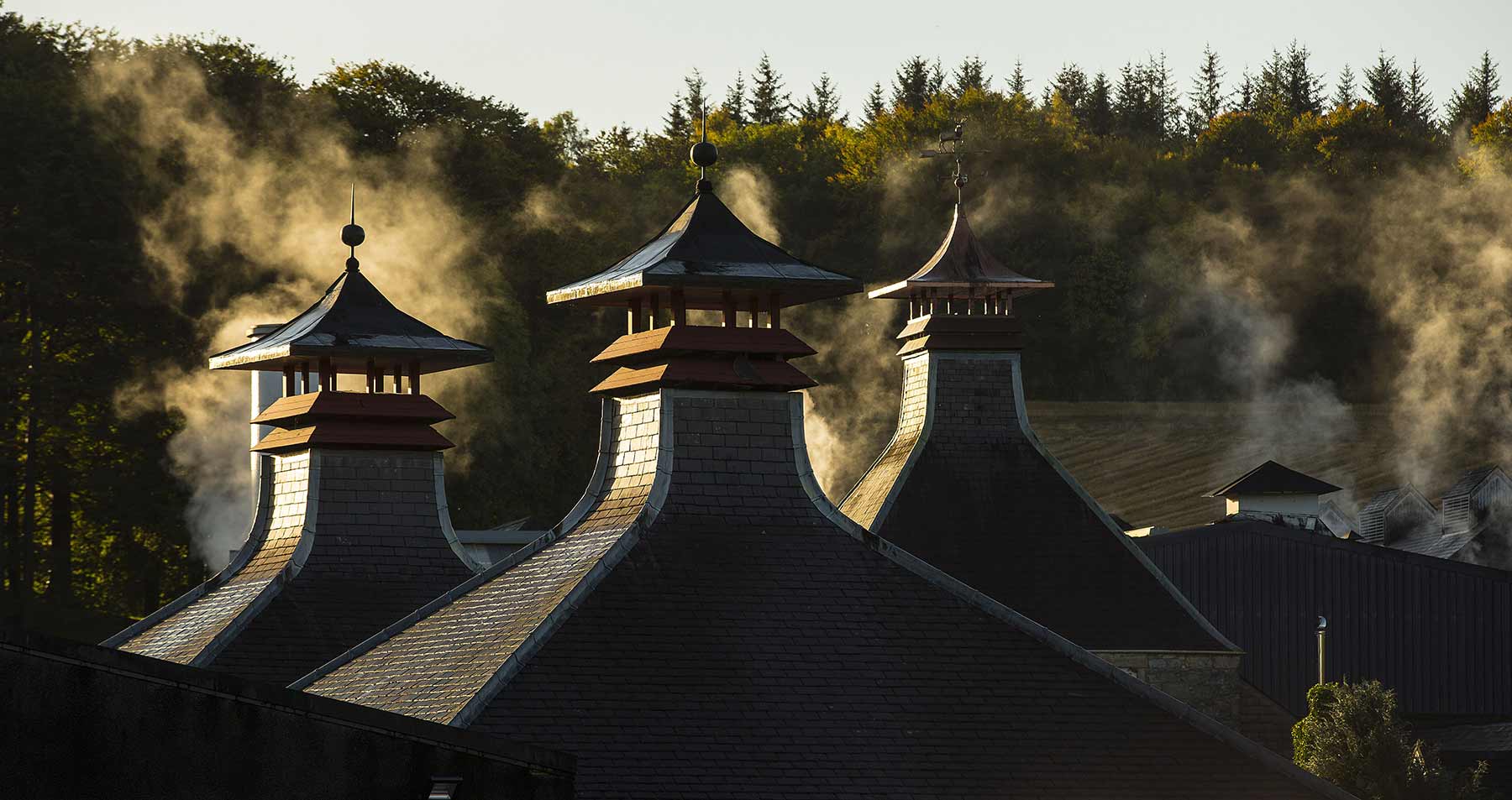 Glenfiddich three slate-roofed distillery buildings with steam rising against a forested background at dusk.