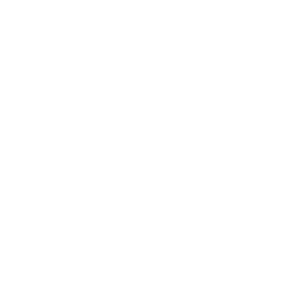 Logo with a Great Dane dog silhouette surrounded by text 'GREAT DANE BREWING PUB & EST. 1994'.