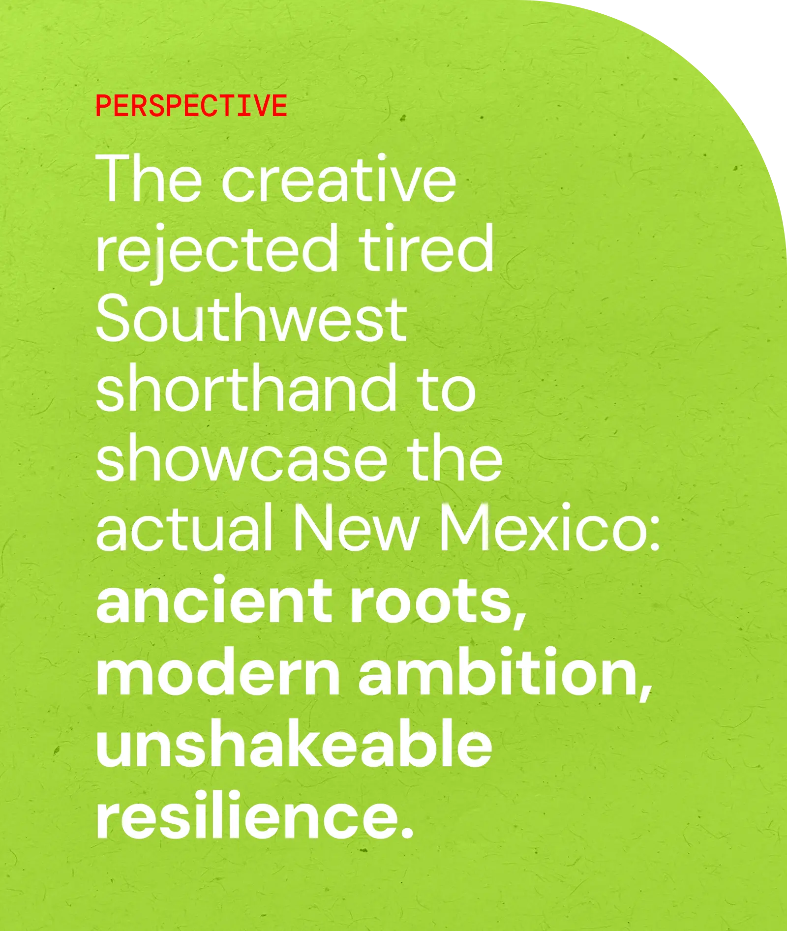 Pull quote card: The creative rejected tired Southwest shorthand to showcase the actual New Mexico: ancient roots, modern ambition, unshakeable resilience.