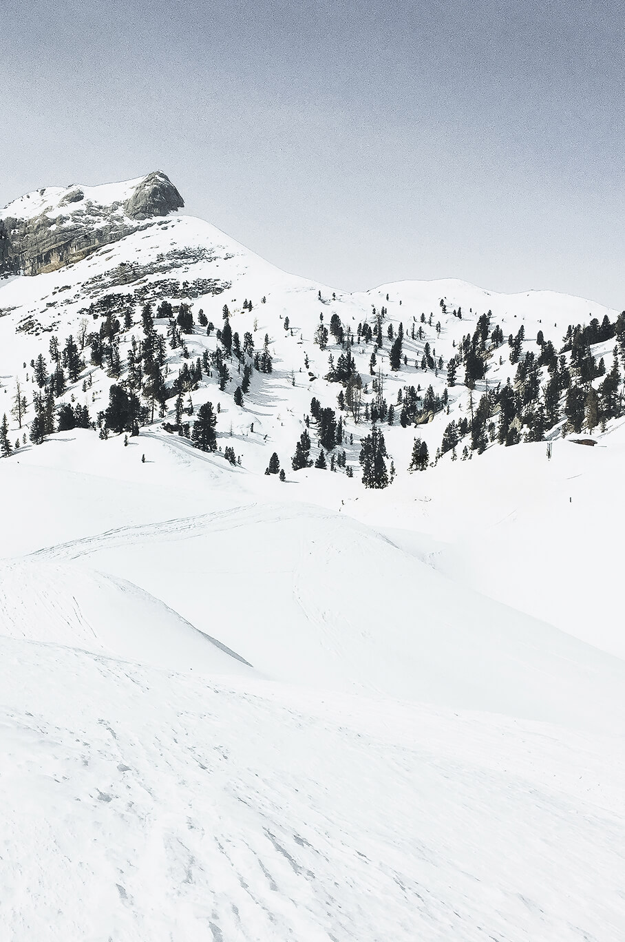 Snow-covered mountains and pine trees, representing preparation, resilience, and thoughtful financial planning for every season of life.