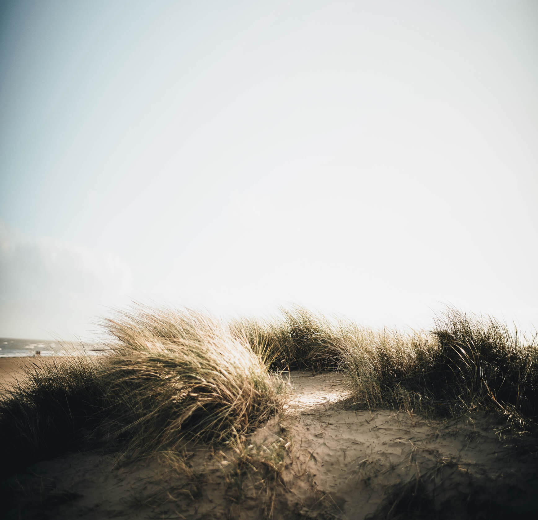 Grassy sand dunes on the Maine coast at sunrise, symbolizing Cornerstone Financial Planning’s commitment to values-driven financial planning.