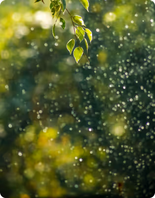Modern brown upholstered chair next to a small round wooden table by a large window with green plants outside.