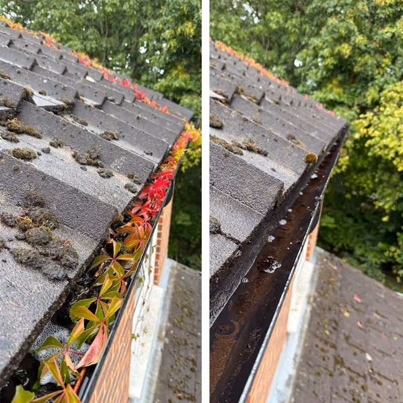 Professional gutter cleaning service in London using Sky Vac gutter vacuum to remove debris and clogged gutters safely from ground level.