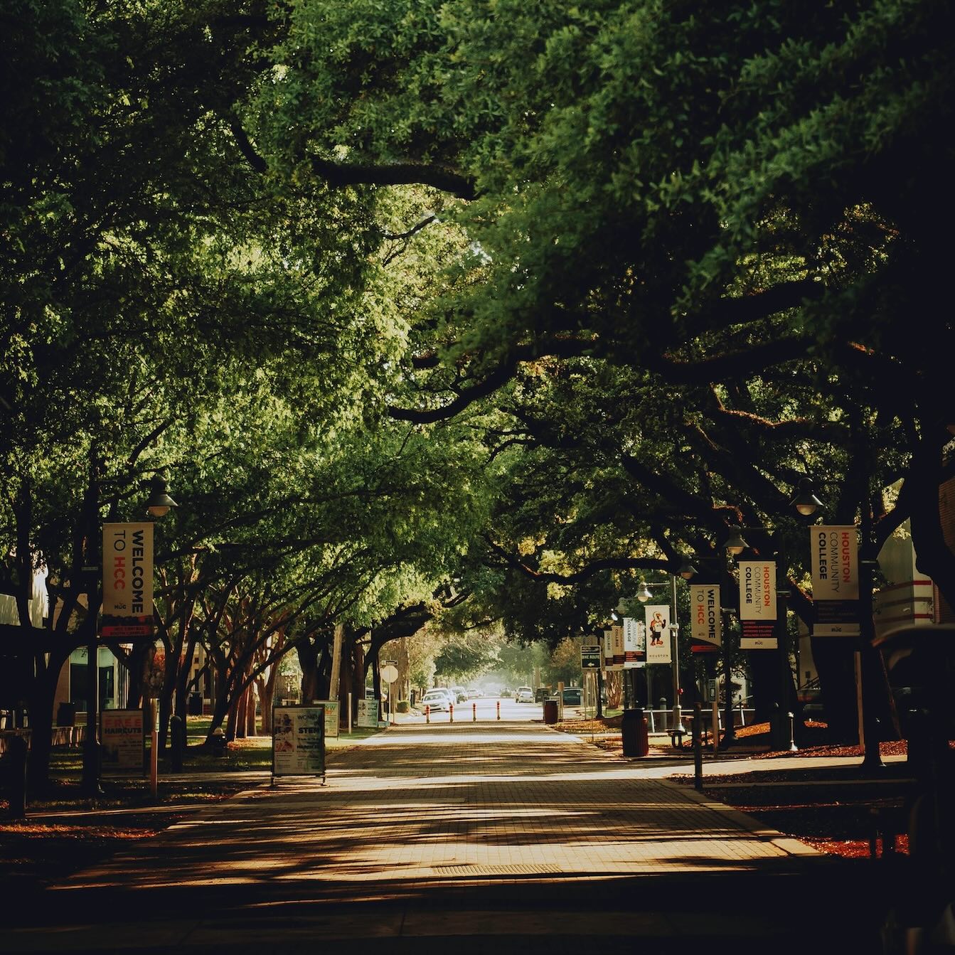 Shaded, tree-lined campus walkway with arching live oaks and “Houston Community College” banners on lampposts, dappled morning light, and a few cars in the distance.