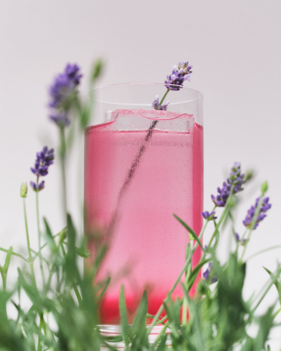 pink drink in glass with plant herbs