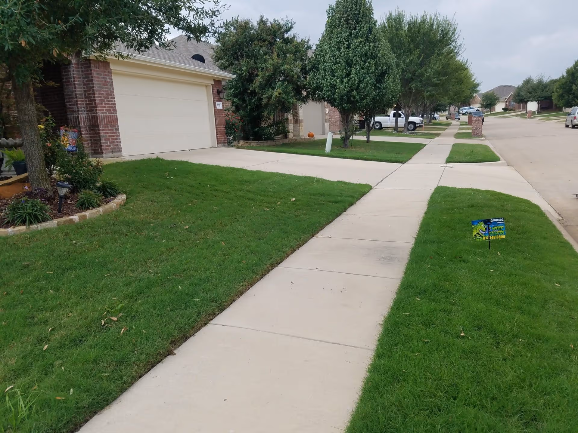 lawn Care