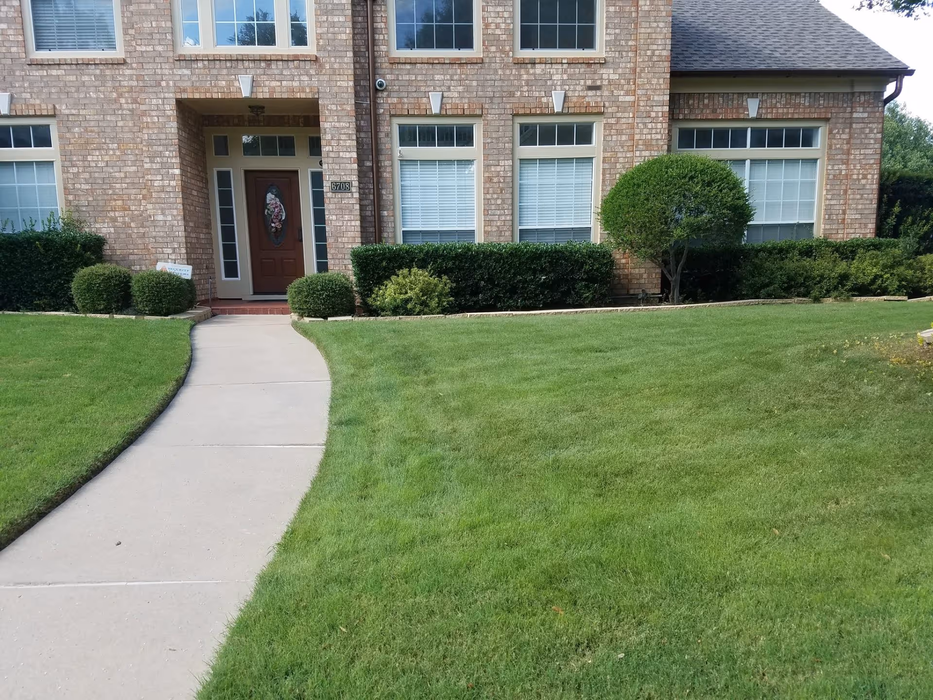 healthy lawn care