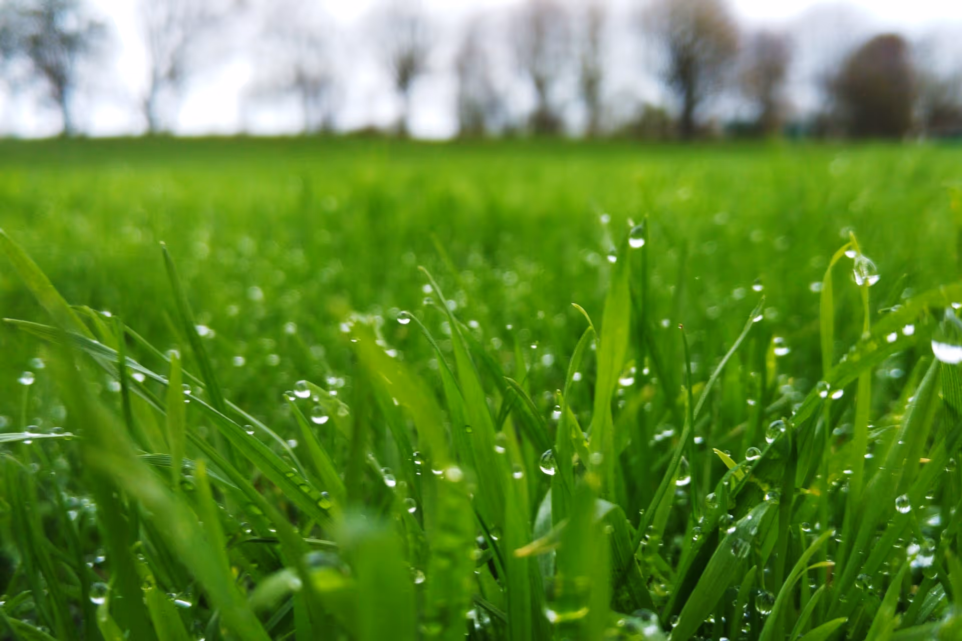 moisture management service