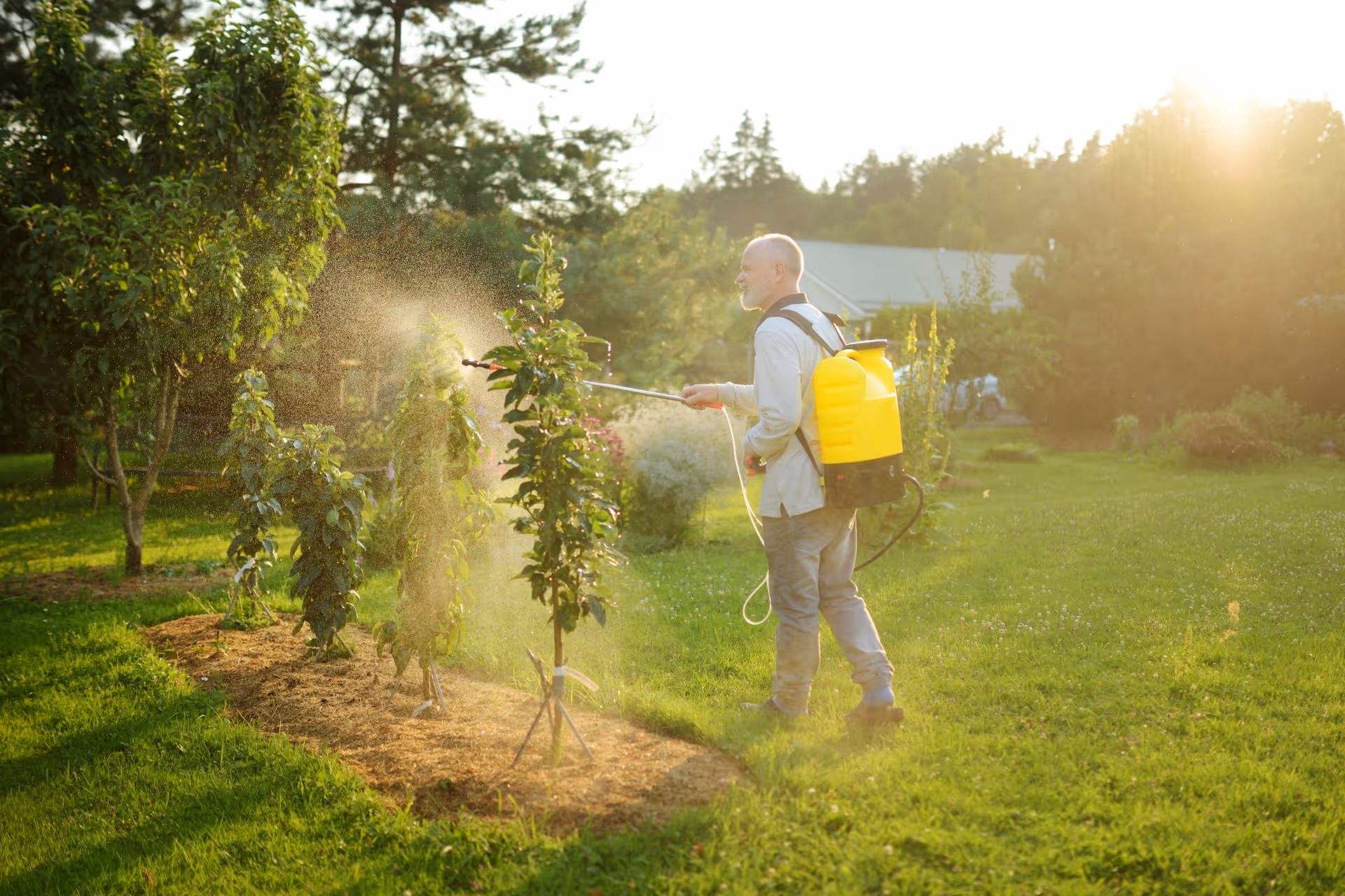 Iinsects Treatments control