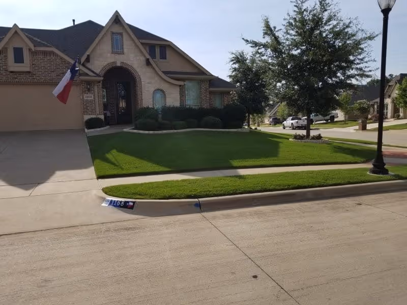 healthy lawn
