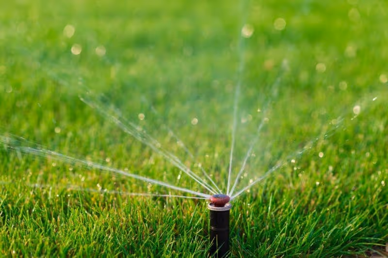 Weed Control