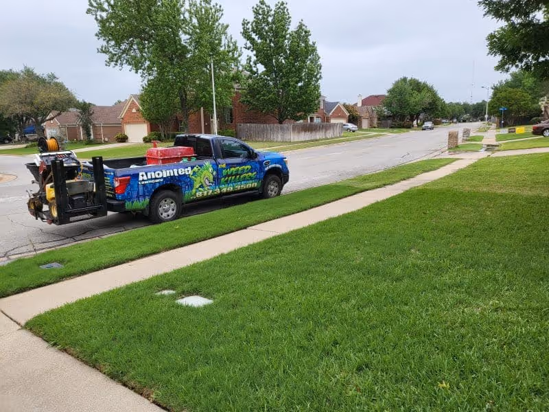 Lawn Disease