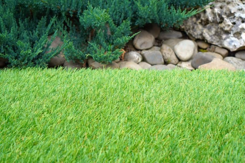 Lawn Mowing
