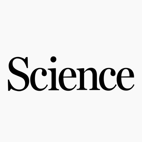 ‘Pioneering’ study scans babies’ brains as they form memories
