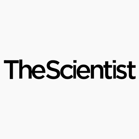Nick Turk-Browne Explores the Neuroscience of Learning
