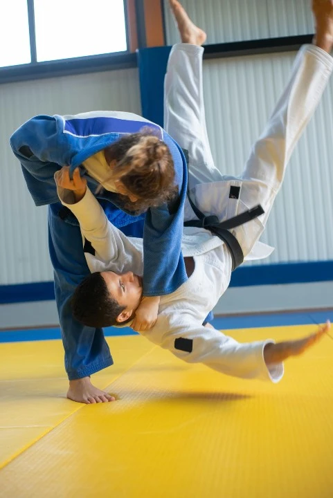 Brazilian Jiu-Jitsu