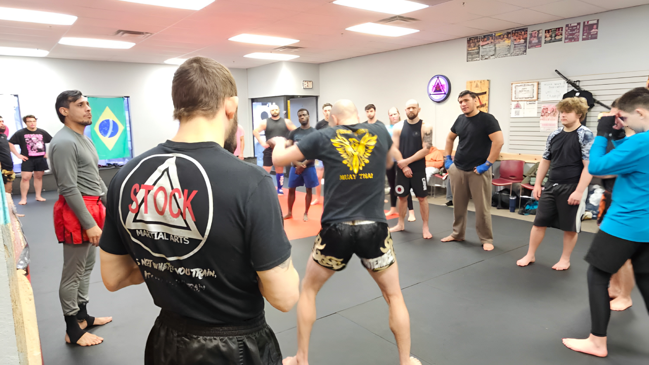 MMA in Rochester