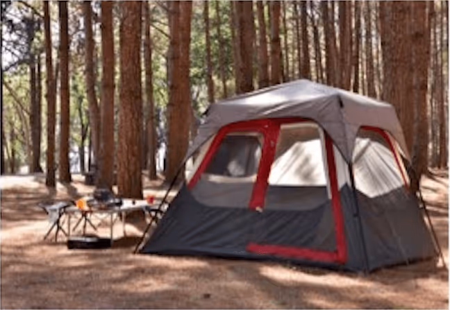 Gray and red camping tent set up in a forest with tall pine trees, next to a small table with outdoor gear and cups.