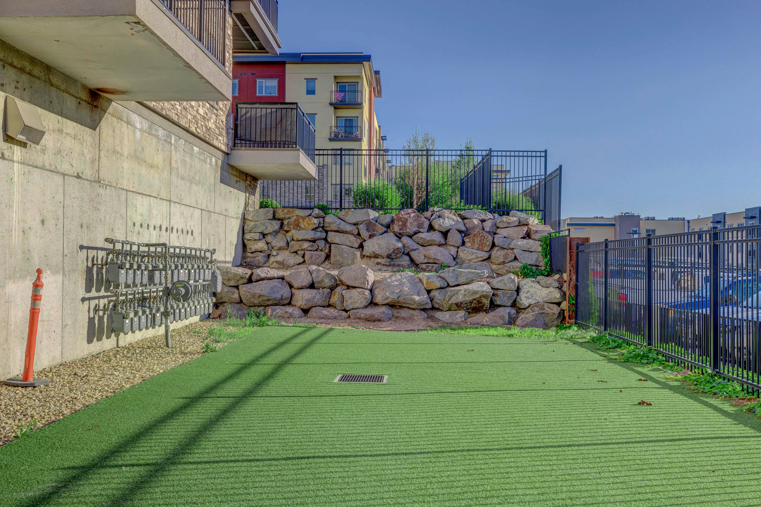 dog park