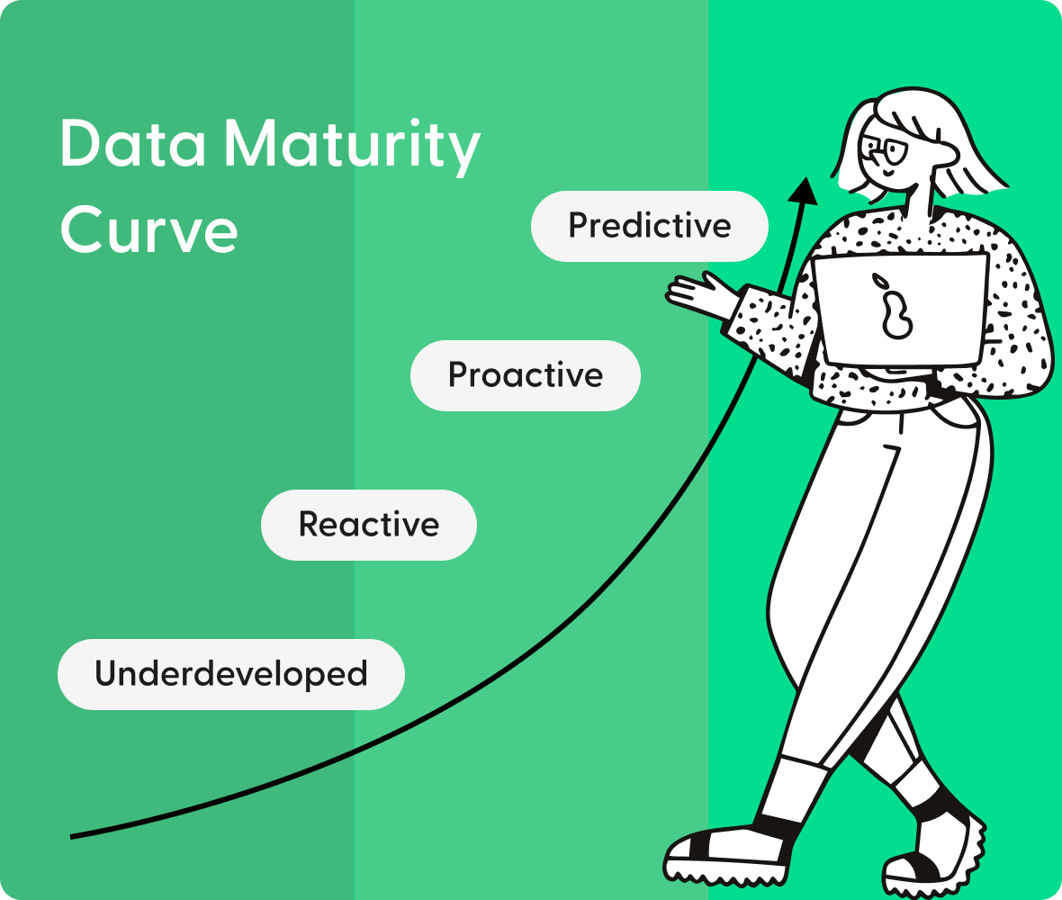 Data Maturity Curve