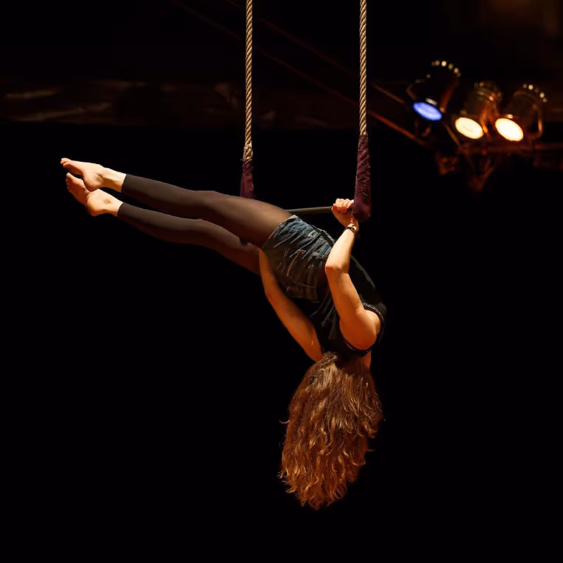 Solo de trapèze fixe accompagné d'un orchestre lors du spectacle annuel 2016/2017 de l'école du Cirque Électrique