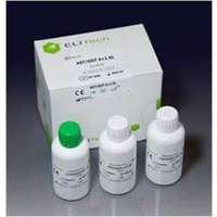 Access 2 Digoxin Reagent 2x50 Count 100/Kt