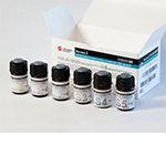 Total Vitamin D Calibrator