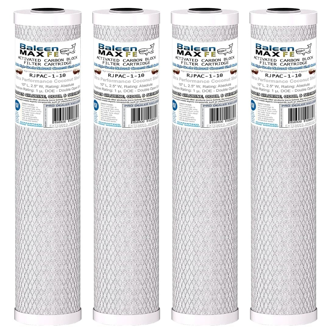 10-inch 1 micron Carbon Filter