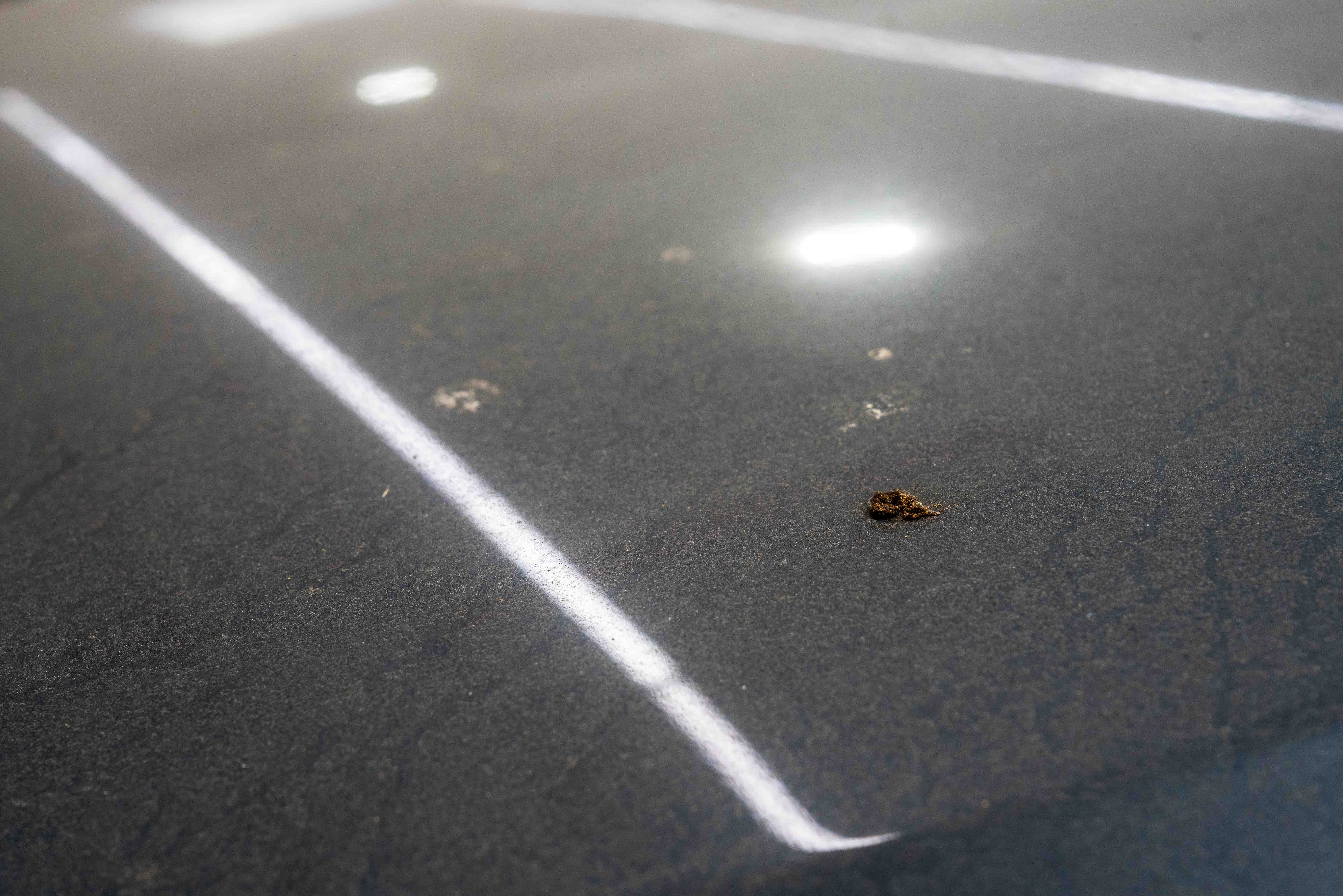 Image of dirt on car bonnet at Halo Collective