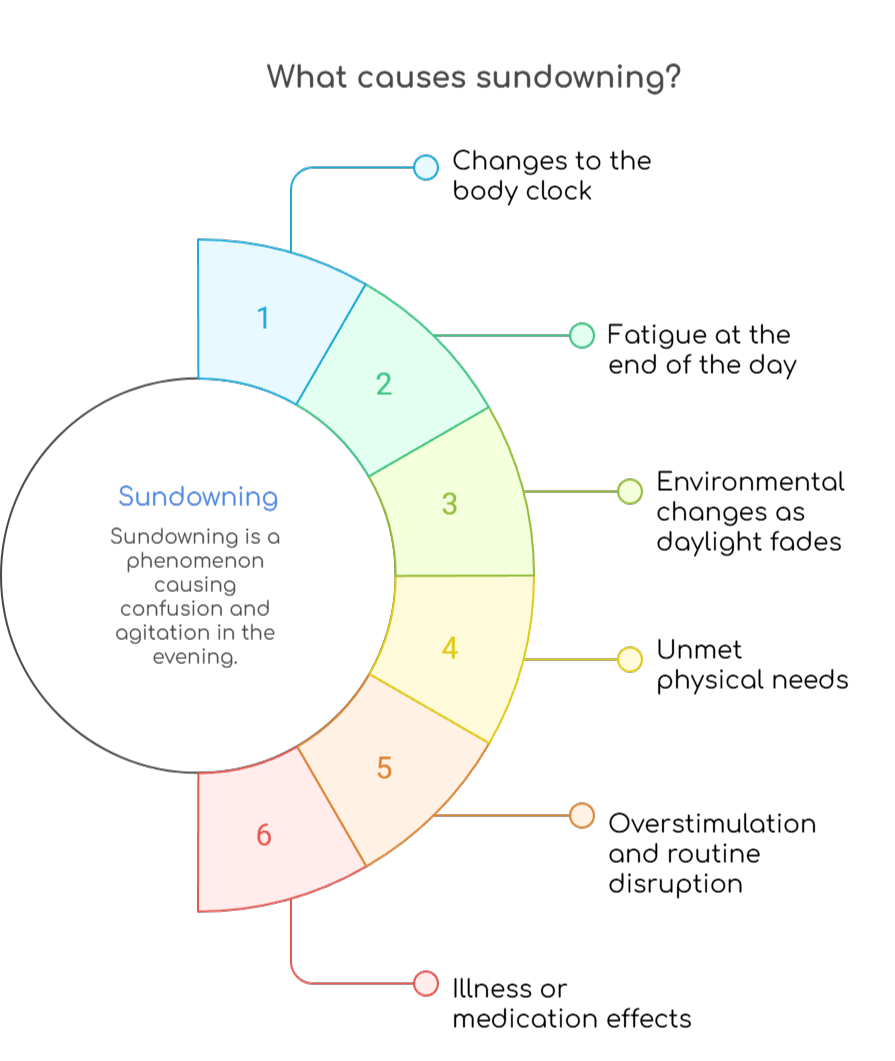 An infographic that illustrates what causes sundowning