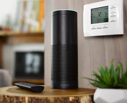 Amazon Echo smart speaker on a wooden table near a wall thermostat and a small green plant.