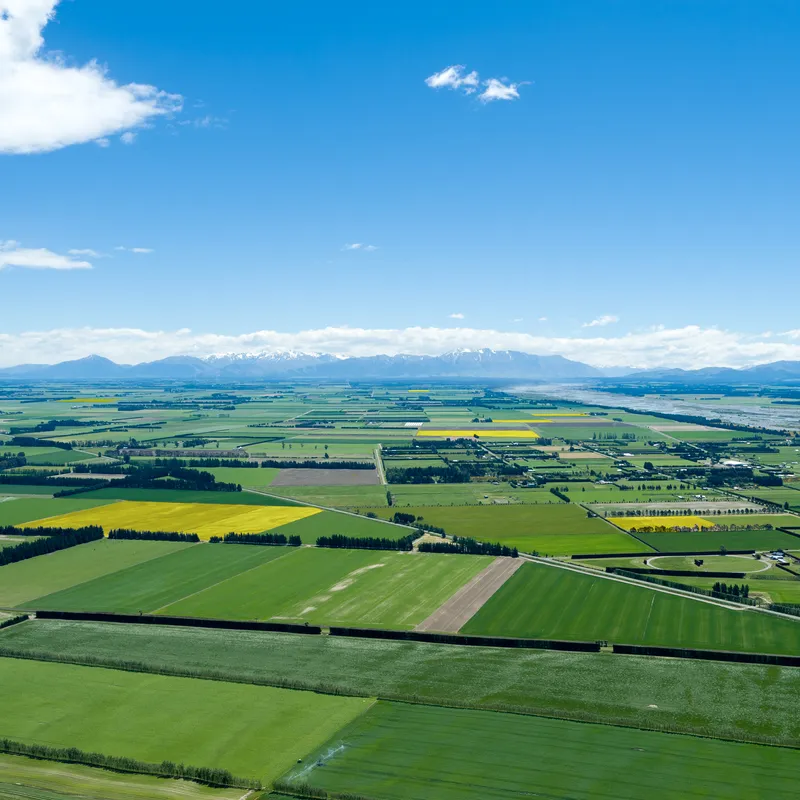 Mid Canterbury plains, with Southern Alps in the backgrounds
