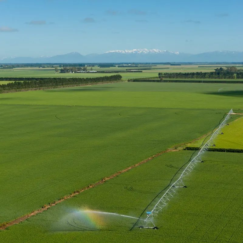 Green Flaxseed crop with irrigation and Pacific ocean in background