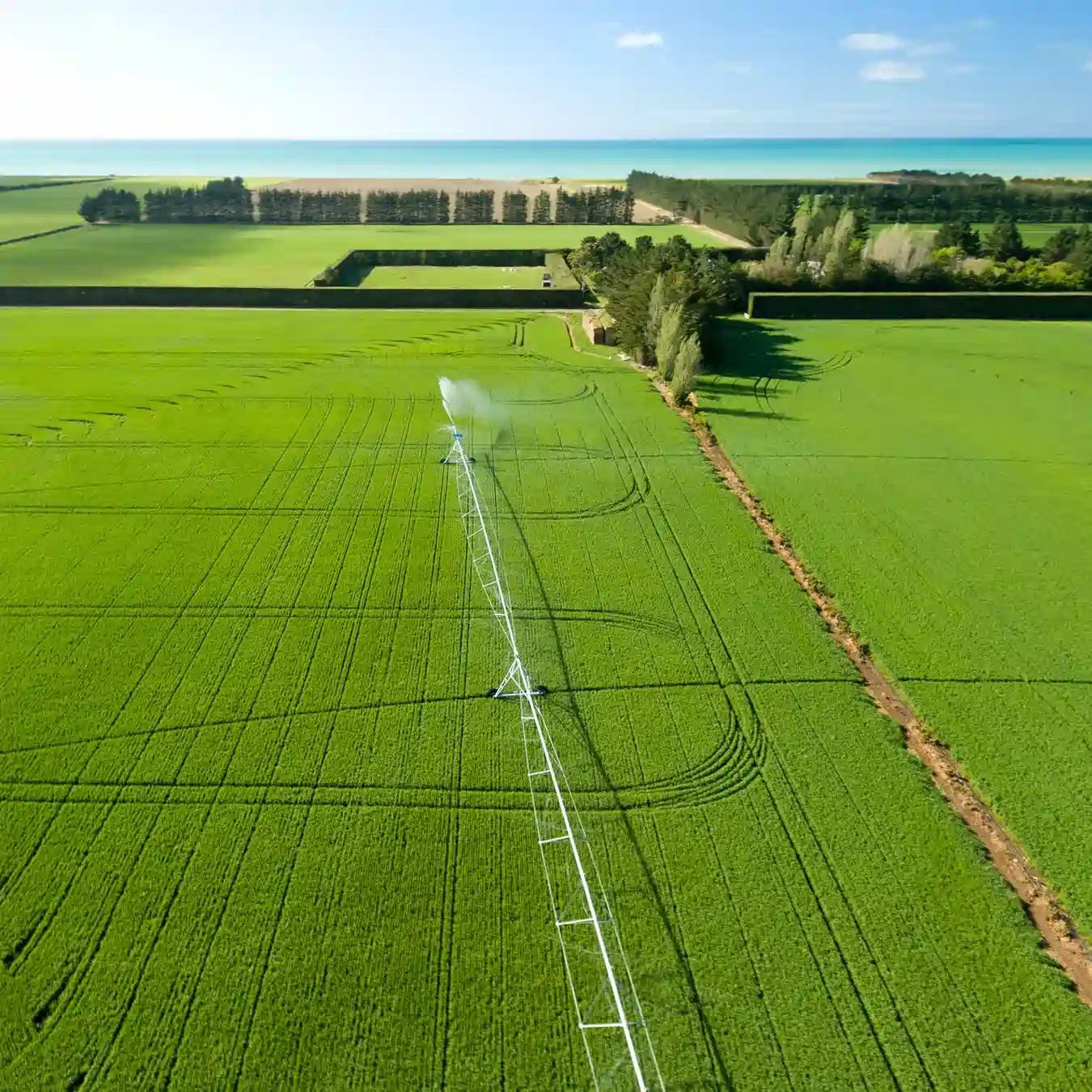 Aerial shot of a green flaxseed crop with an irrigation and the Pacific Ocean in the background
