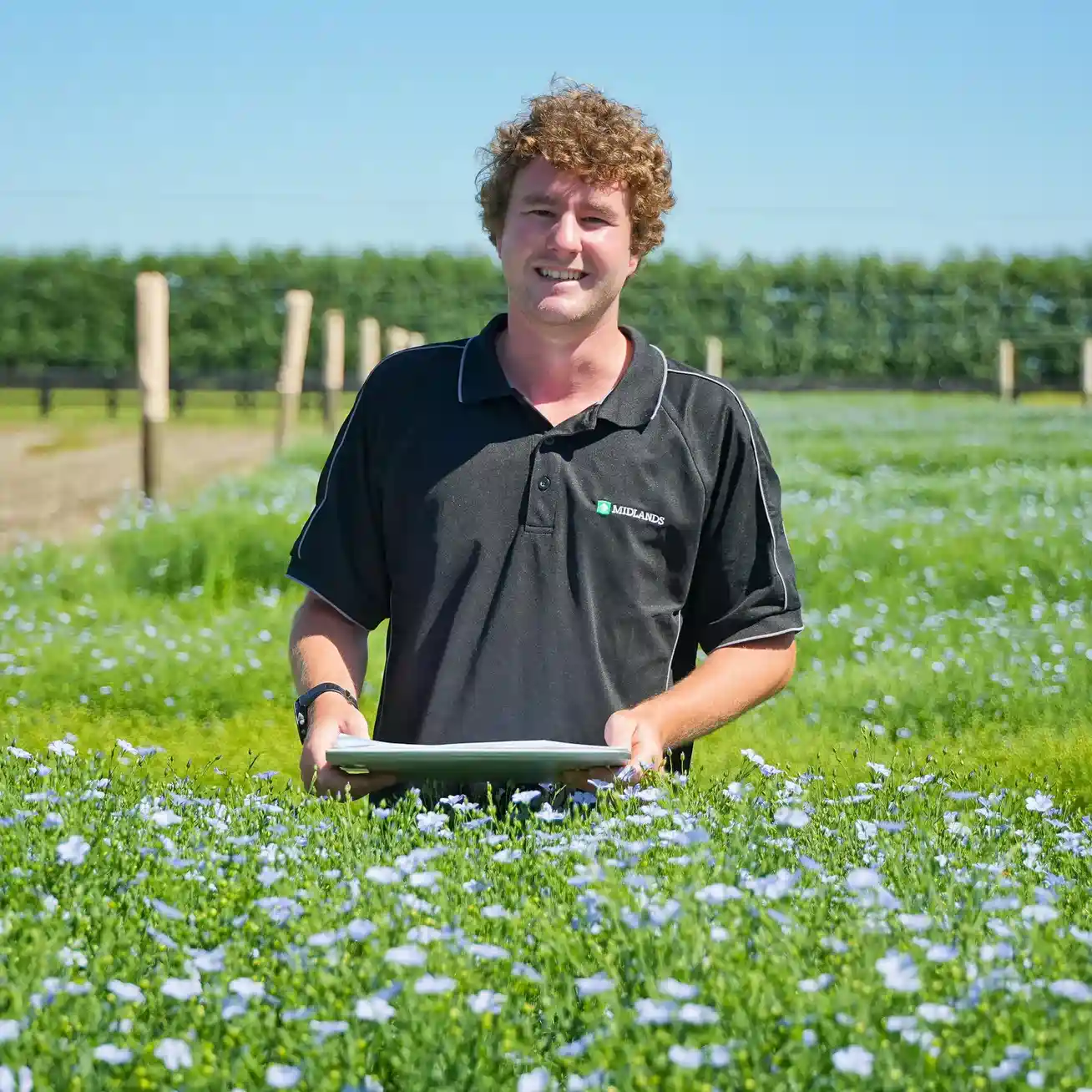 Man with clipboard inspecting a Flaxseed Crop trial