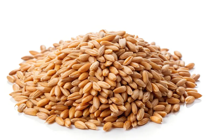 Round pile of wheat seeds on white background